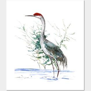 Sandhill Crane Posters and Art